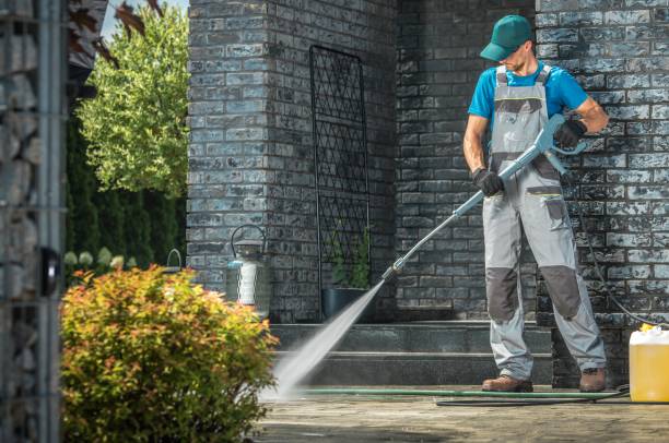 Best Rust Removal  in Ofallon, IL
