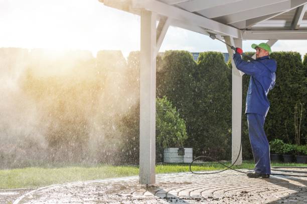 Best Parking Lot and Garage Cleaning  in Ofallon, IL