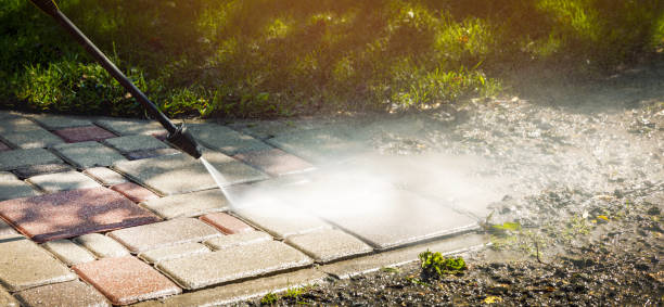 Best Pool Deck Cleaning  in Ofallon, IL